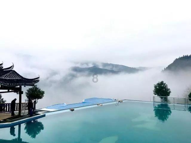 救援大嘴鸟